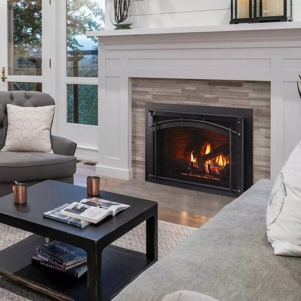 Gas Fireplace Insert - Escape Gas Fireplace - Encino Fireplace Store